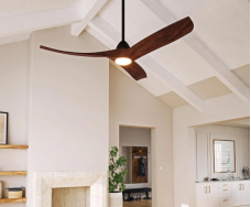 Ceiling Fans