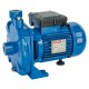 Single-phase centrifugal pump Speroni CM 27 – power 0.55 kW, head 27 m, flow rate 100 l/min |  |  |