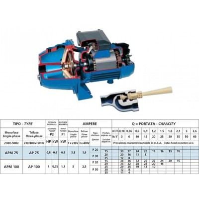 Self-priming pump with ejector Speroni APM 100 – power 750 W, head 27 m, flow rate 20 L/min - Product Comparison
