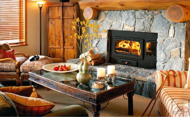 Prity fireplace insert